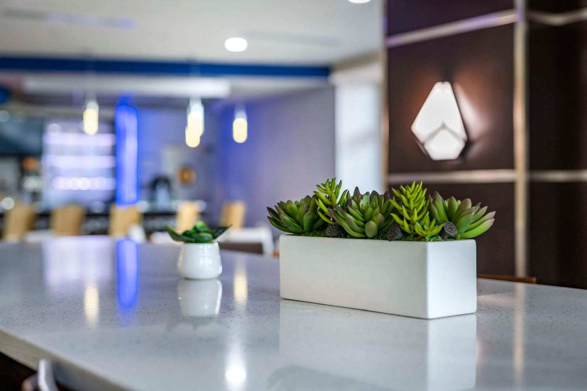 Cambria Hotel Ft Lauderdale, Airport South & Cruise Port Dania Beach Eksteriør bilde